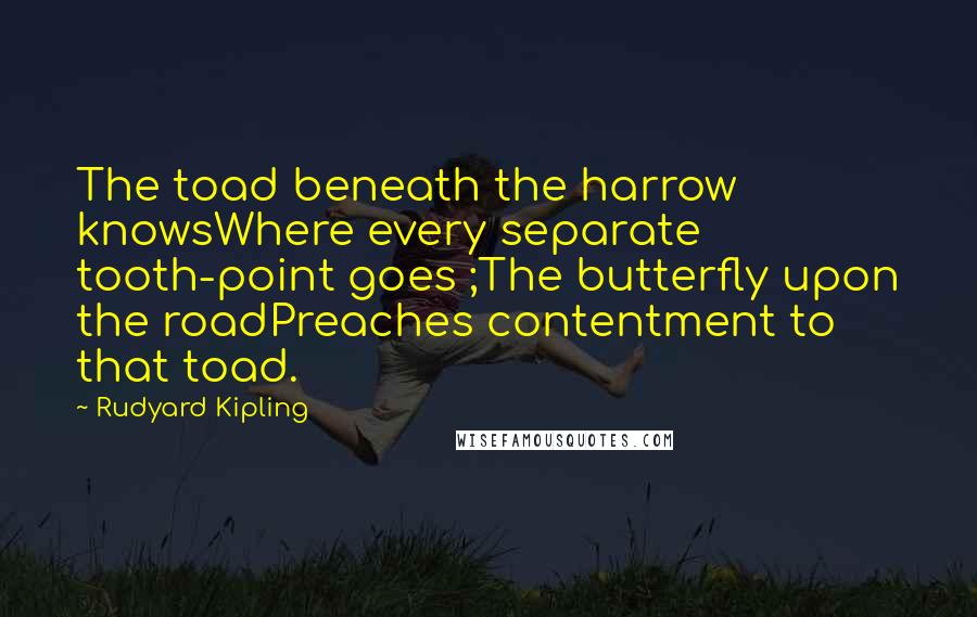 Rudyard Kipling Quotes: The toad beneath the harrow knowsWhere every separate tooth-point goes ;The butterfly upon the roadPreaches contentment to that toad.