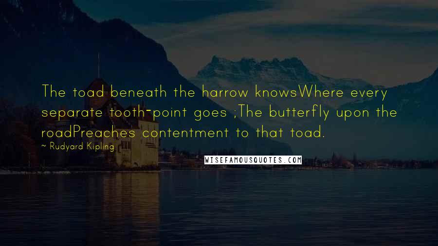 Rudyard Kipling Quotes: The toad beneath the harrow knowsWhere every separate tooth-point goes ;The butterfly upon the roadPreaches contentment to that toad.