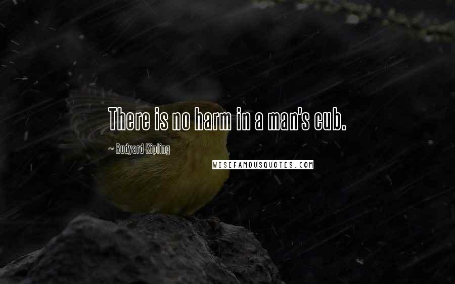 Rudyard Kipling Quotes: There is no harm in a man's cub.