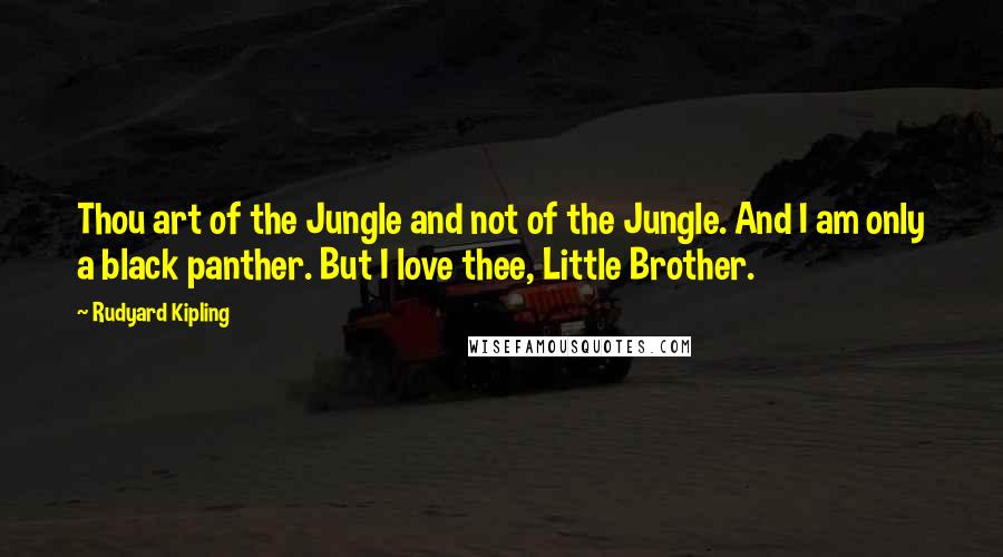 Rudyard Kipling Quotes: Thou art of the Jungle and not of the Jungle. And I am only a black panther. But I love thee, Little Brother.