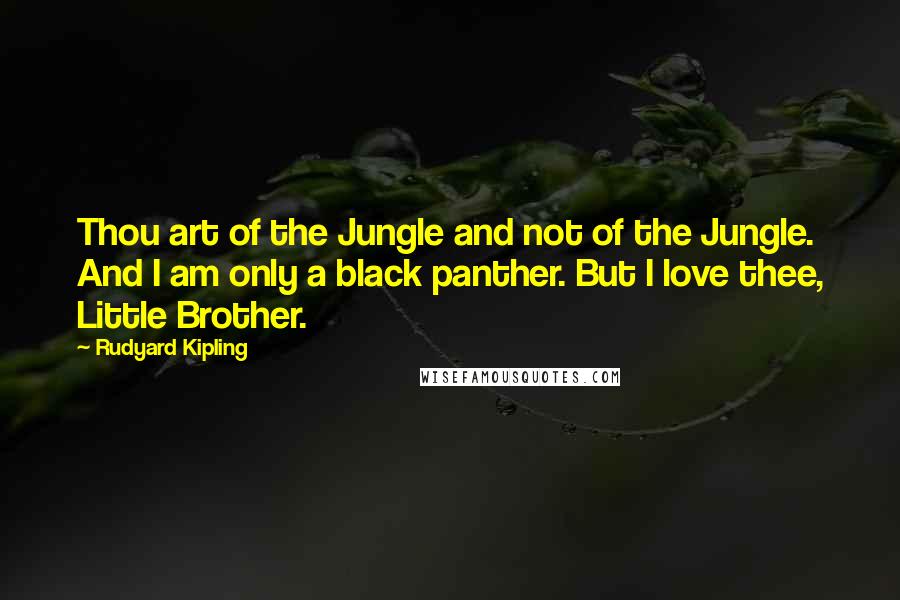 Rudyard Kipling Quotes: Thou art of the Jungle and not of the Jungle. And I am only a black panther. But I love thee, Little Brother.