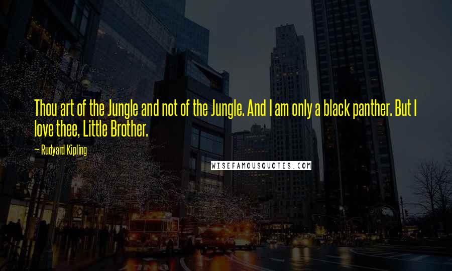 Rudyard Kipling Quotes: Thou art of the Jungle and not of the Jungle. And I am only a black panther. But I love thee, Little Brother.