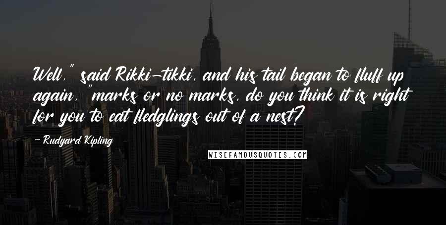 Rudyard Kipling Quotes: Well," said Rikki-tikki, and his tail began to fluff up again, "marks or no marks, do you think it is right for you to eat fledglings out of a nest?