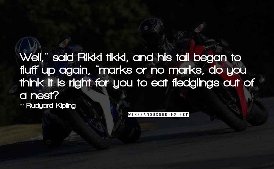 Rudyard Kipling Quotes: Well," said Rikki-tikki, and his tail began to fluff up again, "marks or no marks, do you think it is right for you to eat fledglings out of a nest?