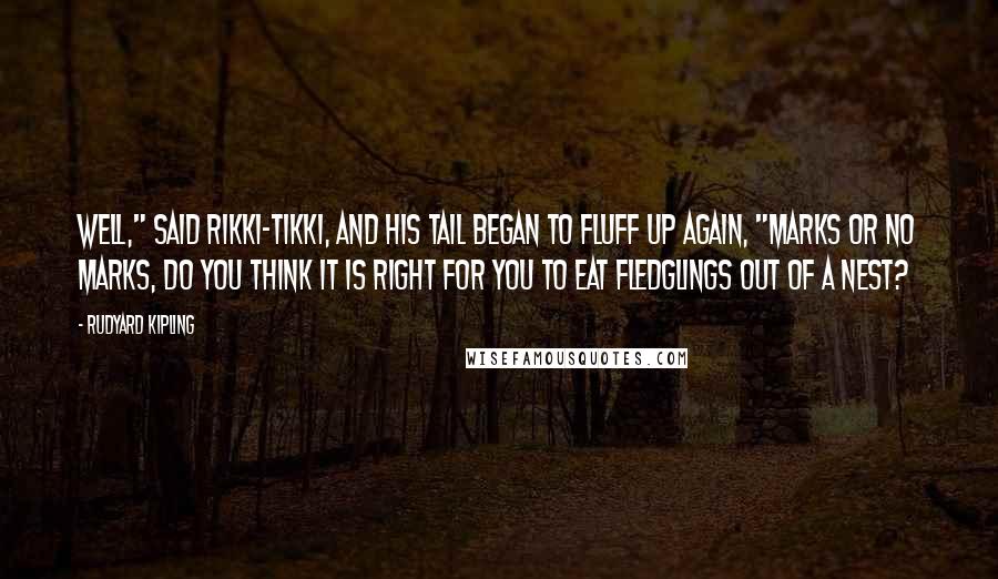 Rudyard Kipling Quotes: Well," said Rikki-tikki, and his tail began to fluff up again, "marks or no marks, do you think it is right for you to eat fledglings out of a nest?