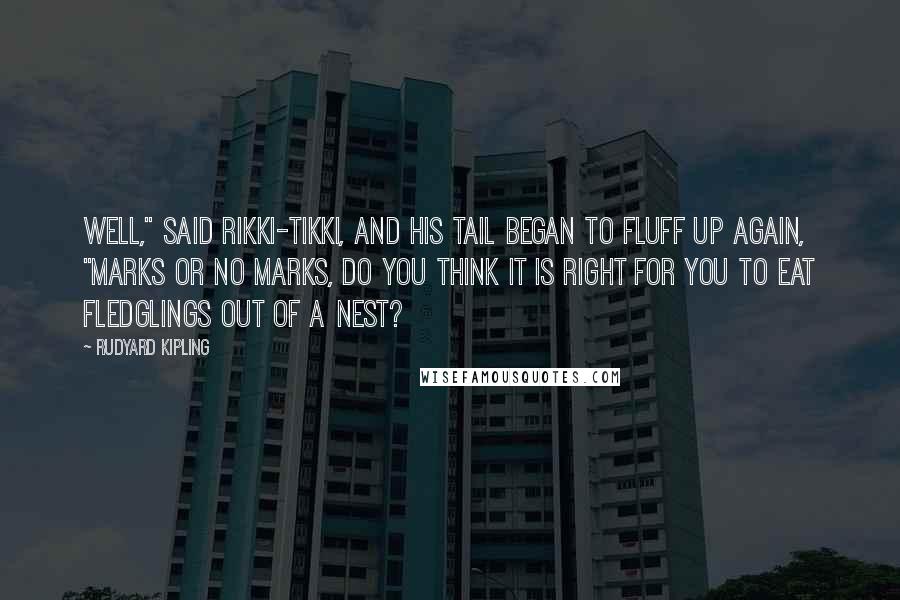 Rudyard Kipling Quotes: Well," said Rikki-tikki, and his tail began to fluff up again, "marks or no marks, do you think it is right for you to eat fledglings out of a nest?
