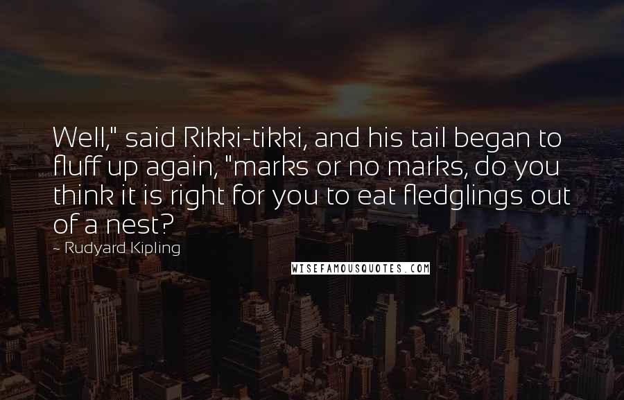 Rudyard Kipling Quotes: Well," said Rikki-tikki, and his tail began to fluff up again, "marks or no marks, do you think it is right for you to eat fledglings out of a nest?