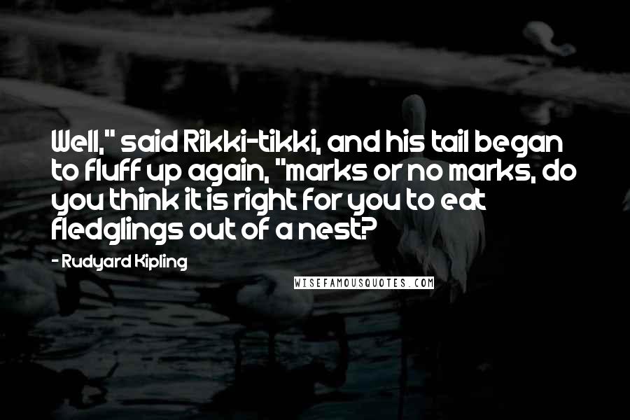 Rudyard Kipling Quotes: Well," said Rikki-tikki, and his tail began to fluff up again, "marks or no marks, do you think it is right for you to eat fledglings out of a nest?