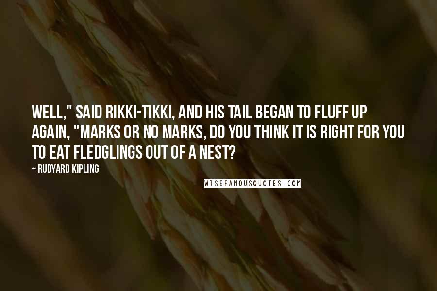 Rudyard Kipling Quotes: Well," said Rikki-tikki, and his tail began to fluff up again, "marks or no marks, do you think it is right for you to eat fledglings out of a nest?