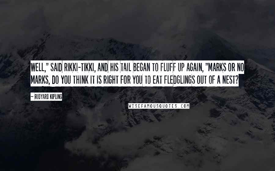 Rudyard Kipling Quotes: Well," said Rikki-tikki, and his tail began to fluff up again, "marks or no marks, do you think it is right for you to eat fledglings out of a nest?