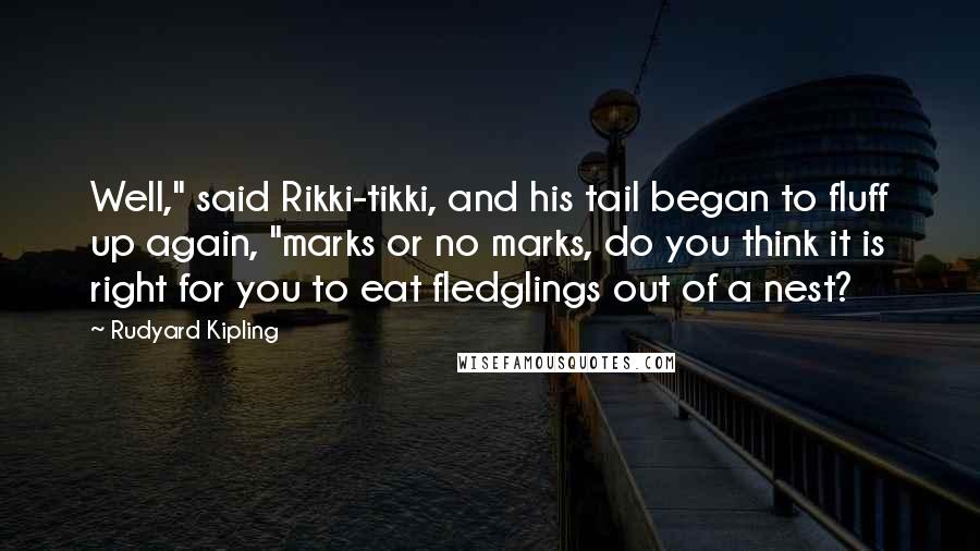 Rudyard Kipling Quotes: Well," said Rikki-tikki, and his tail began to fluff up again, "marks or no marks, do you think it is right for you to eat fledglings out of a nest?