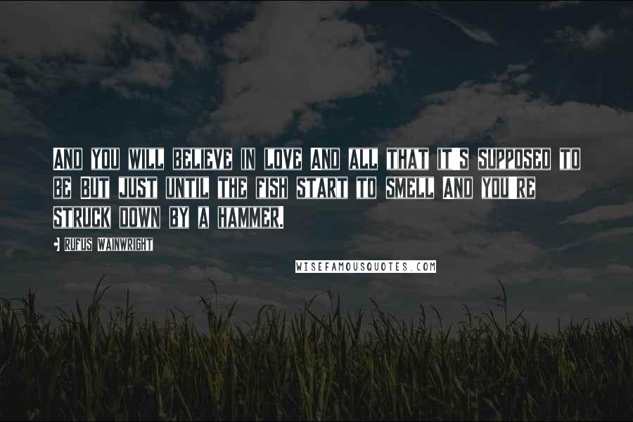 Rufus Wainwright Quotes: And you will believe in love And all that it's supposed to be But just until the fish start to smell And you're struck down by a hammer.