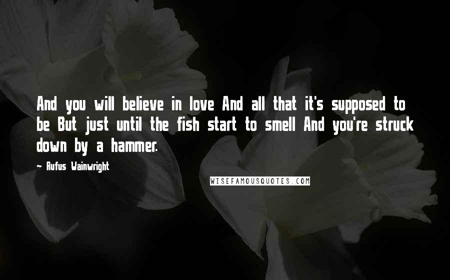 Rufus Wainwright Quotes: And you will believe in love And all that it's supposed to be But just until the fish start to smell And you're struck down by a hammer.