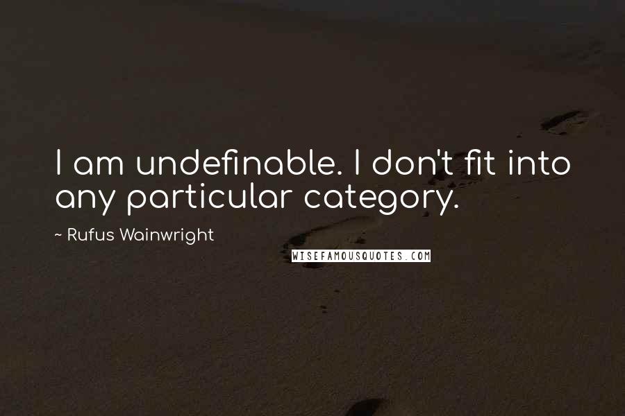 Rufus Wainwright Quotes: I am undefinable. I don't fit into any particular category.