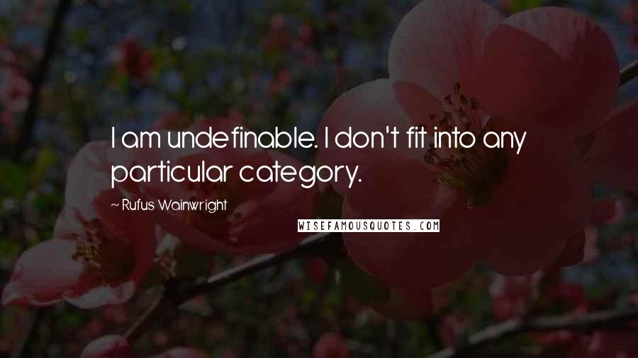 Rufus Wainwright Quotes: I am undefinable. I don't fit into any particular category.