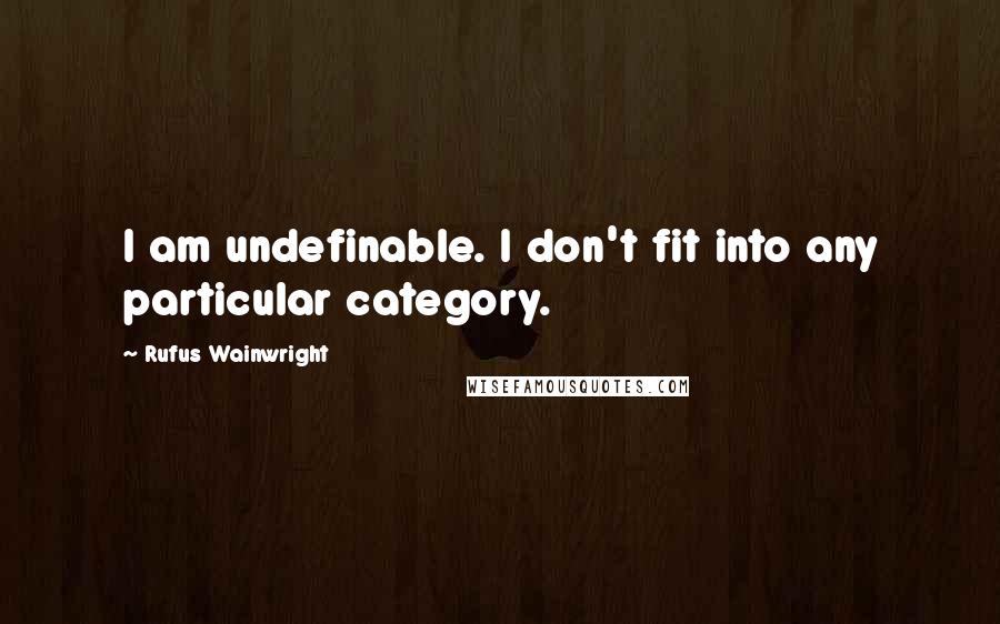 Rufus Wainwright Quotes: I am undefinable. I don't fit into any particular category.