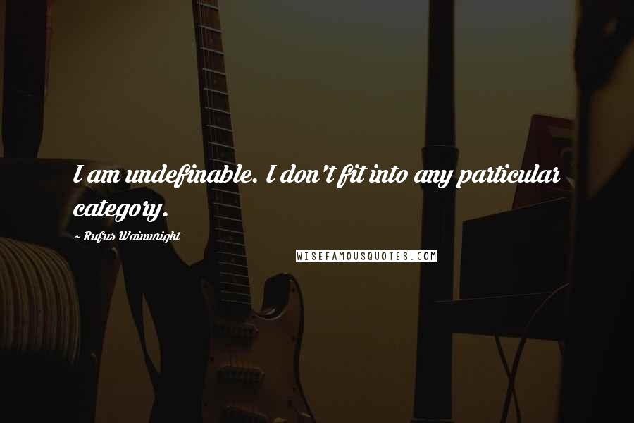 Rufus Wainwright Quotes: I am undefinable. I don't fit into any particular category.