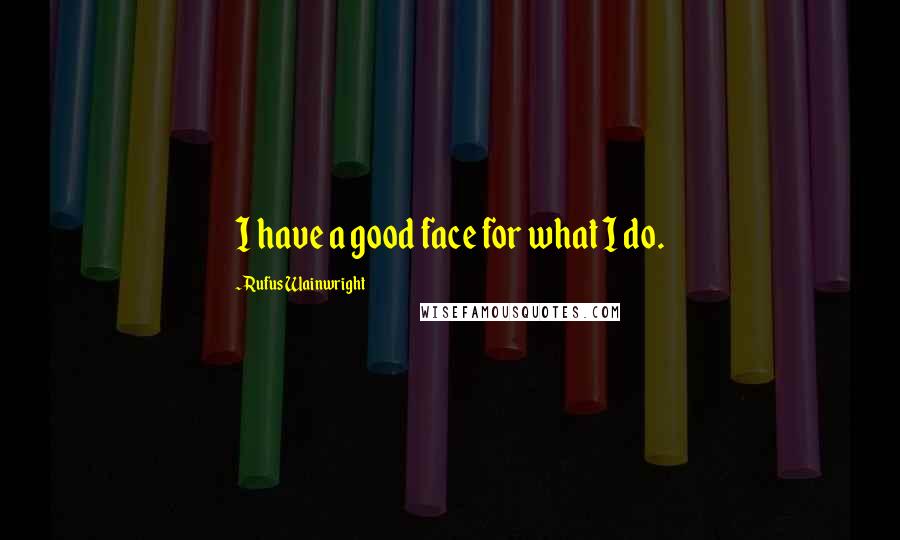 Rufus Wainwright Quotes: I have a good face for what I do.