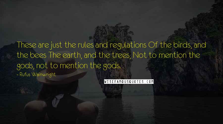 Rufus Wainwright Quotes: These are just the rules and regulations Of the birds, and the bees The earth, and the trees, Not to mention the gods, not to mention the gods.