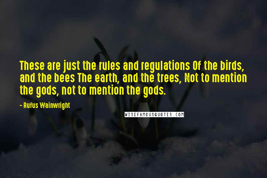 Rufus Wainwright Quotes: These are just the rules and regulations Of the birds, and the bees The earth, and the trees, Not to mention the gods, not to mention the gods.