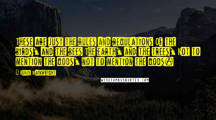 Rufus Wainwright Quotes: These are just the rules and regulations Of the birds, and the bees The earth, and the trees, Not to mention the gods, not to mention the gods.