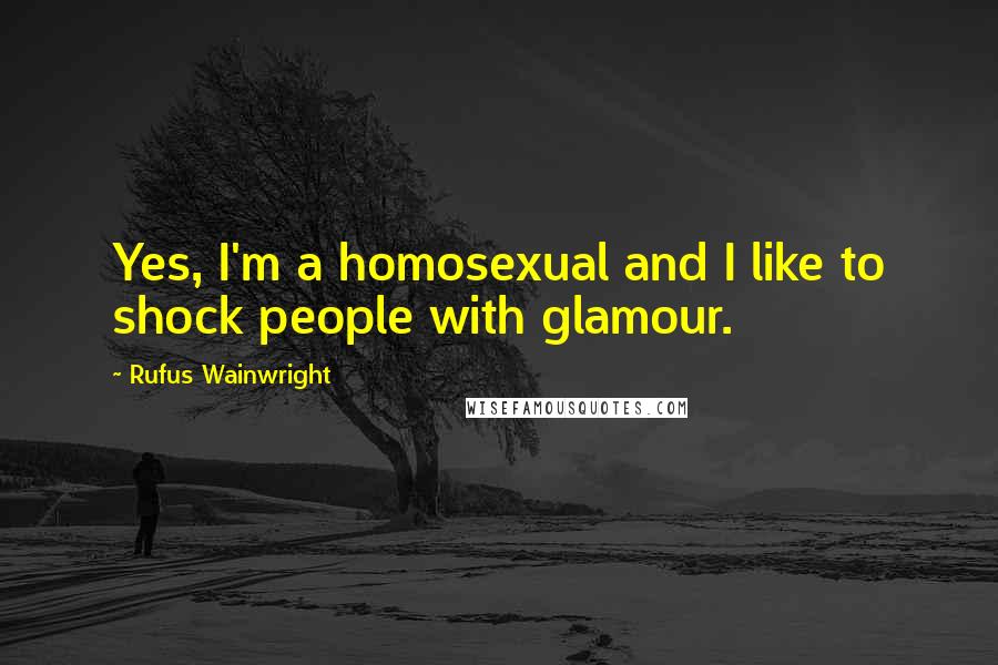 Rufus Wainwright Quotes: Yes, I'm a homosexual and I like to shock people with glamour.