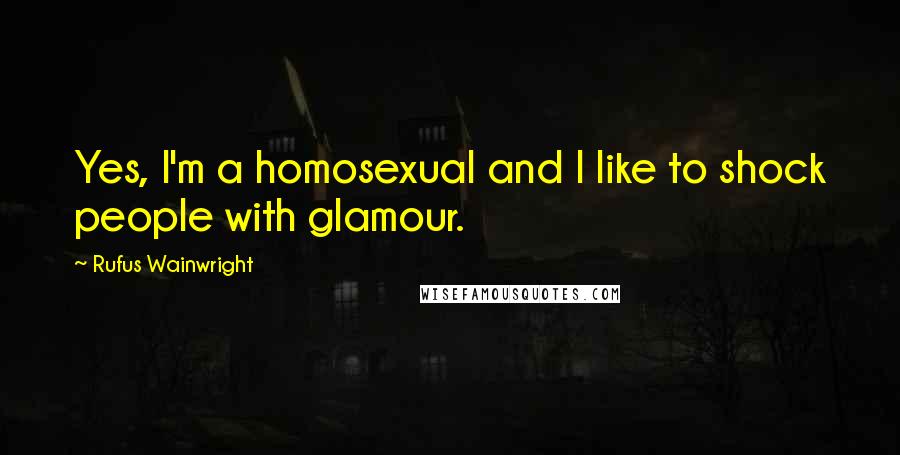 Rufus Wainwright Quotes: Yes, I'm a homosexual and I like to shock people with glamour.