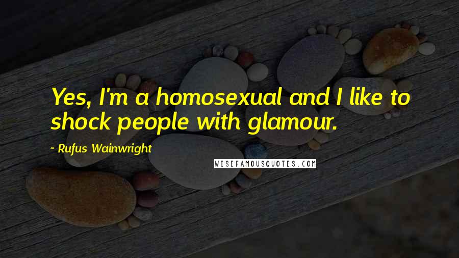 Rufus Wainwright Quotes: Yes, I'm a homosexual and I like to shock people with glamour.