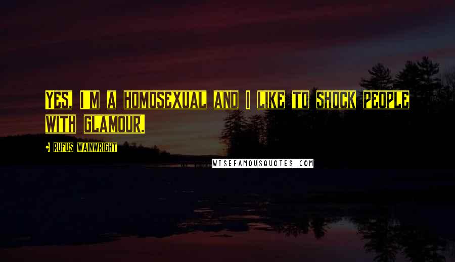 Rufus Wainwright Quotes: Yes, I'm a homosexual and I like to shock people with glamour.