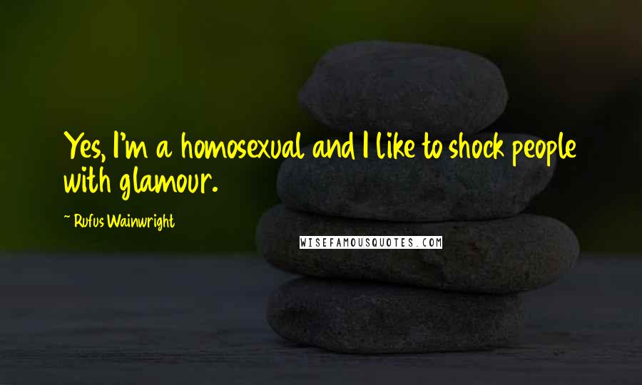 Rufus Wainwright Quotes: Yes, I'm a homosexual and I like to shock people with glamour.