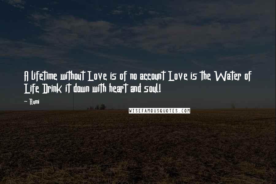 Rumi Quotes: A lifetime without Love is of no account Love is the Water of Life Drink it down with heart and soul!