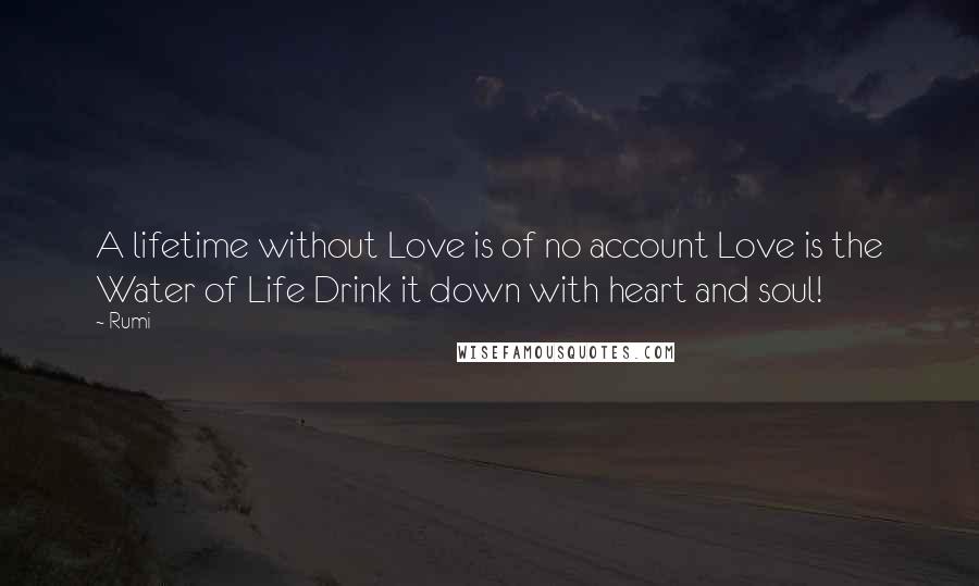 Rumi Quotes: A lifetime without Love is of no account Love is the Water of Life Drink it down with heart and soul!