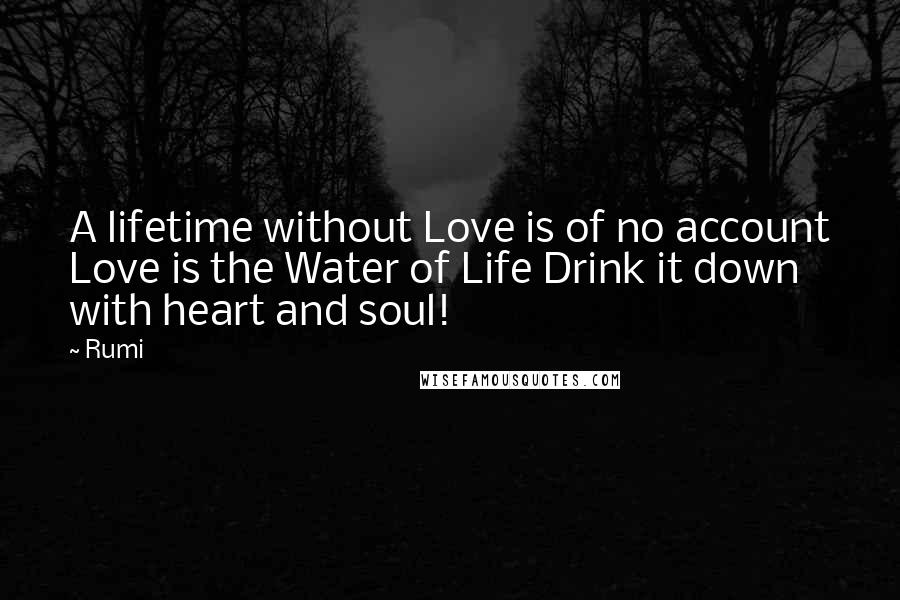 Rumi Quotes: A lifetime without Love is of no account Love is the Water of Life Drink it down with heart and soul!