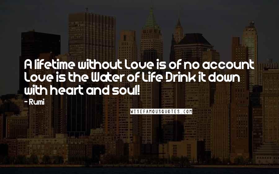 Rumi Quotes: A lifetime without Love is of no account Love is the Water of Life Drink it down with heart and soul!