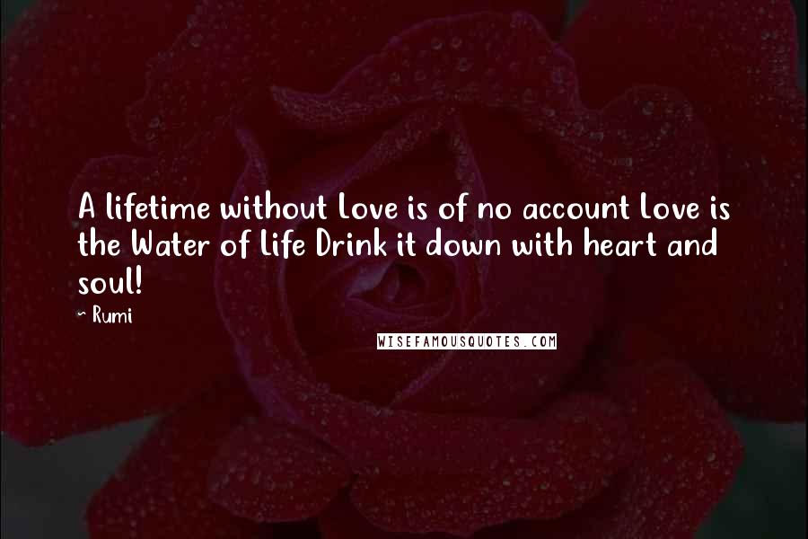 Rumi Quotes: A lifetime without Love is of no account Love is the Water of Life Drink it down with heart and soul!