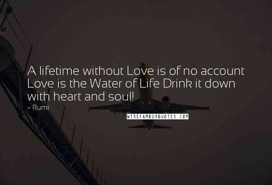 Rumi Quotes: A lifetime without Love is of no account Love is the Water of Life Drink it down with heart and soul!