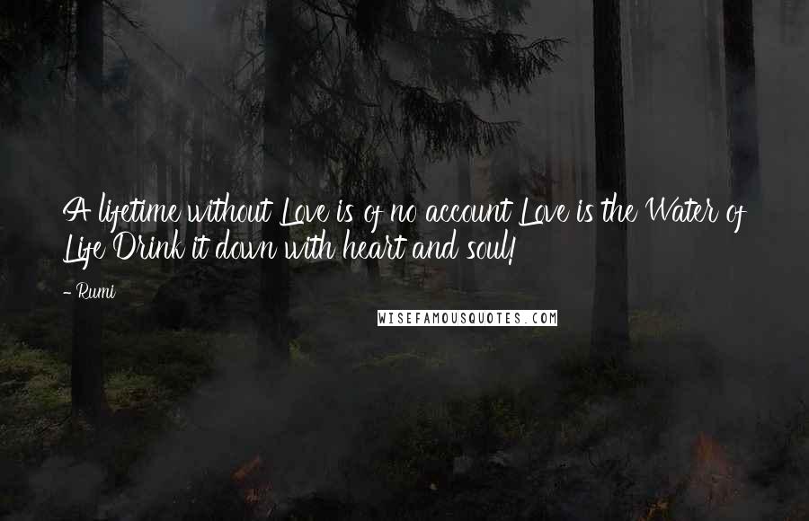 Rumi Quotes: A lifetime without Love is of no account Love is the Water of Life Drink it down with heart and soul!