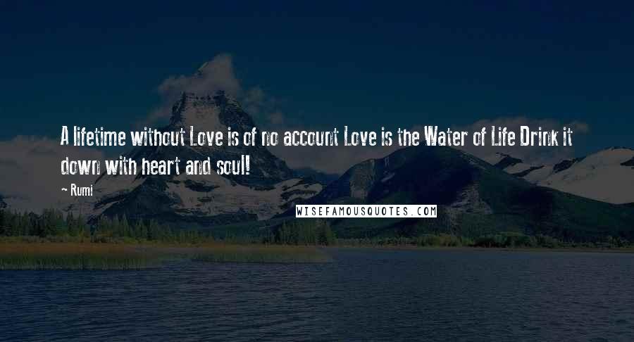 Rumi Quotes: A lifetime without Love is of no account Love is the Water of Life Drink it down with heart and soul!