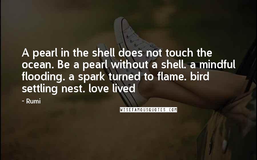 Rumi Quotes: A pearl in the shell does not touch the ocean. Be a pearl without a shell. a mindful flooding. a spark turned to flame. bird settling nest. love lived