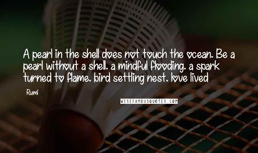 Rumi Quotes: A pearl in the shell does not touch the ocean. Be a pearl without a shell. a mindful flooding. a spark turned to flame. bird settling nest. love lived