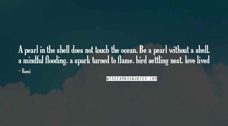 Rumi Quotes: A pearl in the shell does not touch the ocean. Be a pearl without a shell. a mindful flooding. a spark turned to flame. bird settling nest. love lived