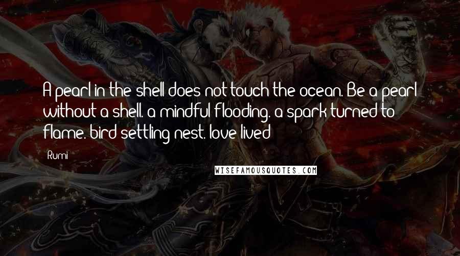 Rumi Quotes: A pearl in the shell does not touch the ocean. Be a pearl without a shell. a mindful flooding. a spark turned to flame. bird settling nest. love lived