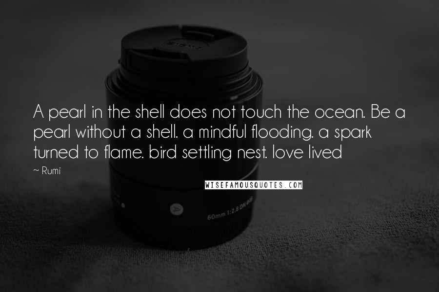 Rumi Quotes: A pearl in the shell does not touch the ocean. Be a pearl without a shell. a mindful flooding. a spark turned to flame. bird settling nest. love lived