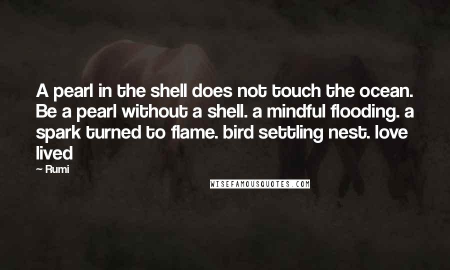 Rumi Quotes: A pearl in the shell does not touch the ocean. Be a pearl without a shell. a mindful flooding. a spark turned to flame. bird settling nest. love lived