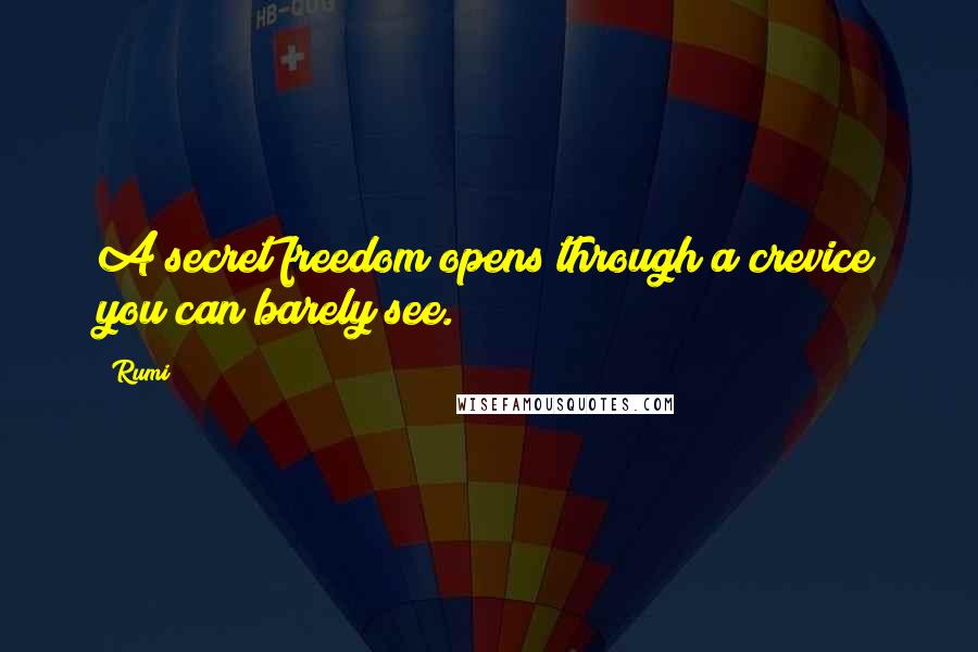 Rumi Quotes: A secret freedom opens through a crevice you can barely see.