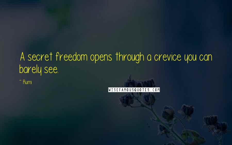 Rumi Quotes: A secret freedom opens through a crevice you can barely see.