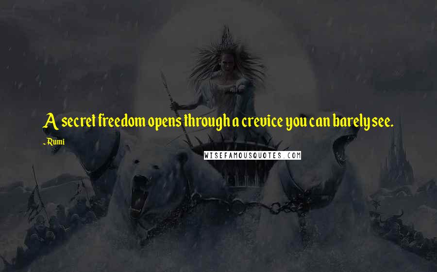 Rumi Quotes: A secret freedom opens through a crevice you can barely see.