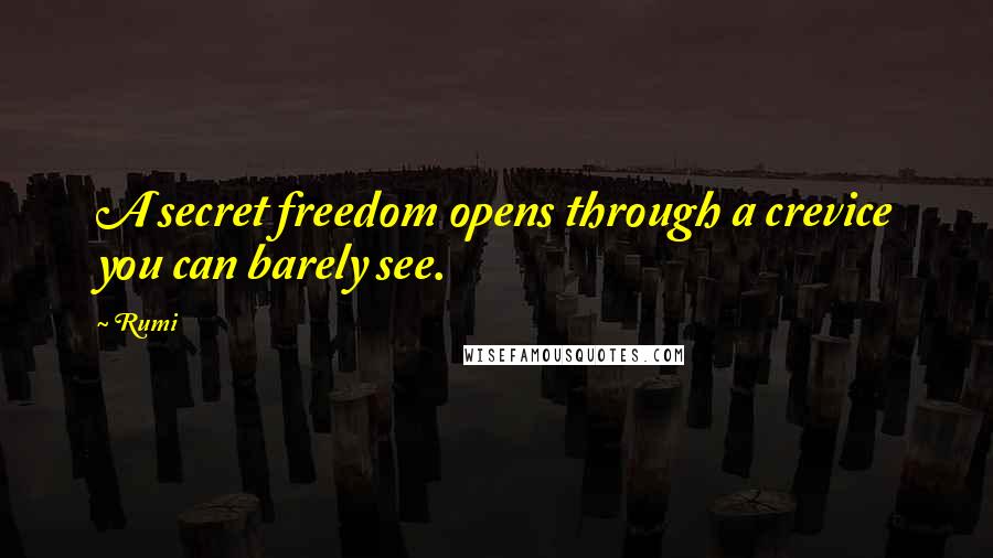 Rumi Quotes: A secret freedom opens through a crevice you can barely see.