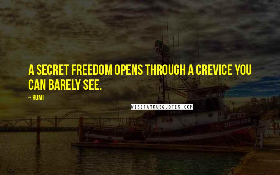 Rumi Quotes: A secret freedom opens through a crevice you can barely see.