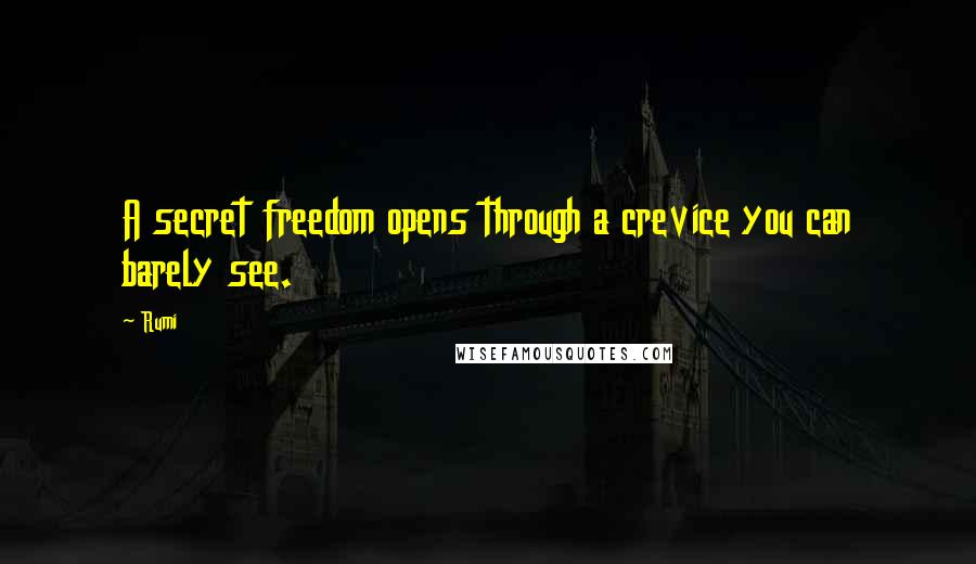 Rumi Quotes: A secret freedom opens through a crevice you can barely see.